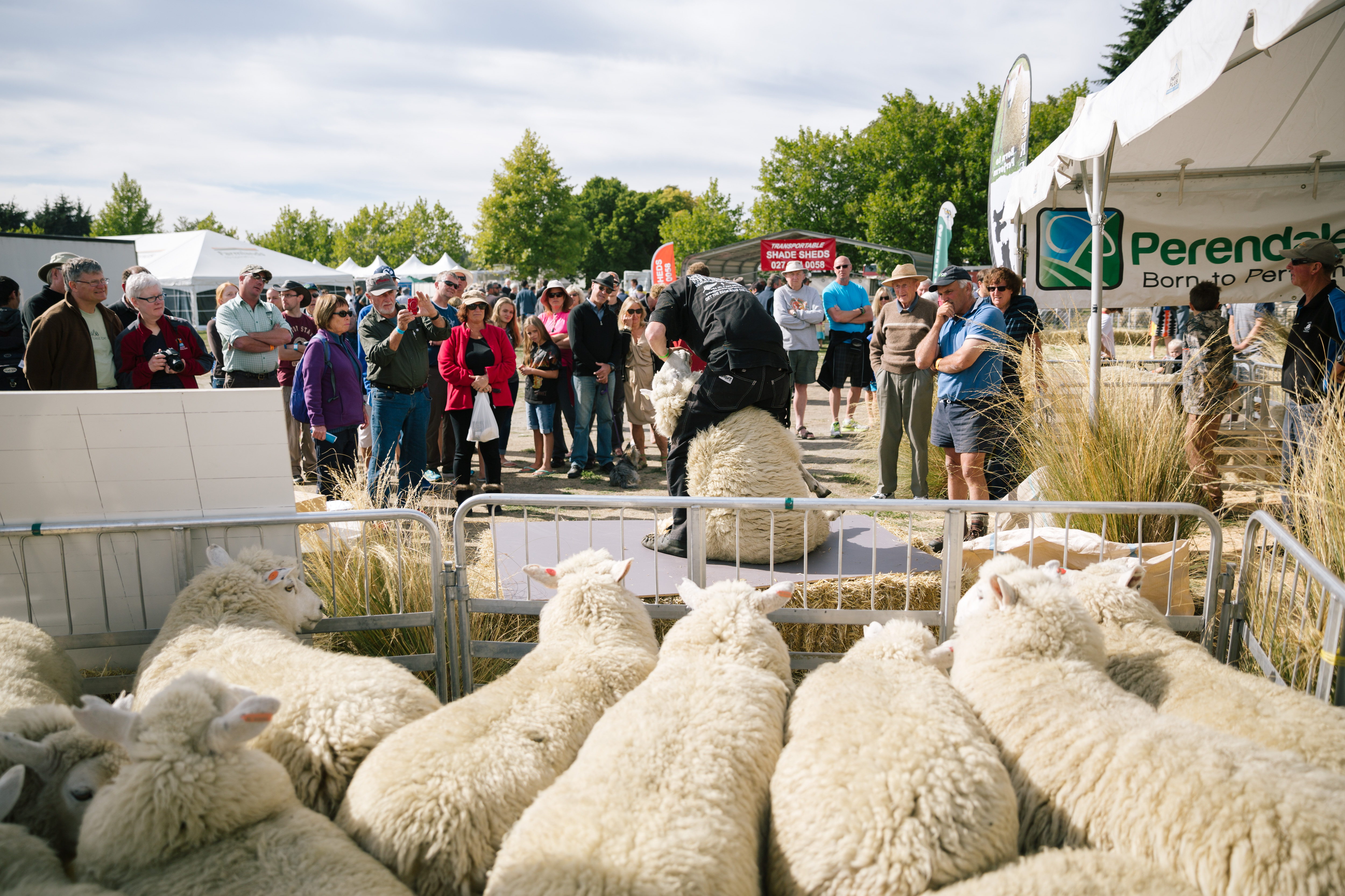 Huge crowds exceed expectations at Wanaka Show