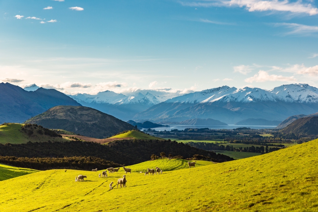 Prominent Lake McKay high country station up for sale in Wanaka